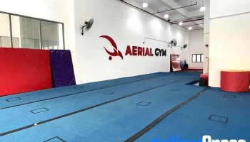 Aerial Gym - Subang Jaya