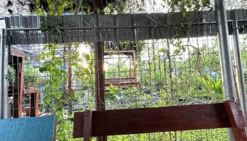 Borneo Komrad Semporna - Pekan Semporna
