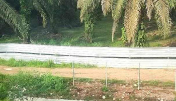 Buloh Kasap - Buloh Kasap