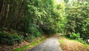 Darulaman Hills - Jitra