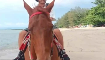 Horse Riding - 11100 George Town