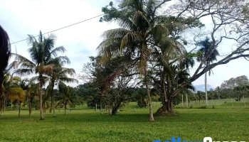 Hospital Bahagia Ulu Kinta (Hospital Tanjung Rambutan) - 31250 Tanjung Rambutan