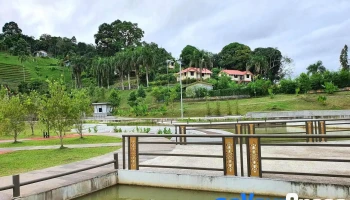 Kapit Lily Pond - 96800 Kapit