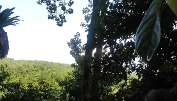 Kem Plkn Bukit Besar - Kulim