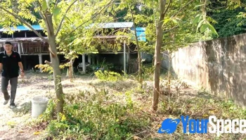 Klinik Desa Pulau Jawa - Pekan