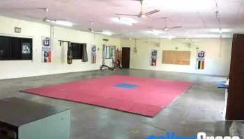 Pertubuhan Silat Seni Gayong Malaysia (k) Thaf - Lorong Maju 2