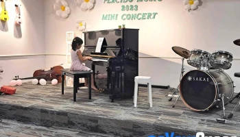Placido Music Academy - Jalan Ecohill 1/5b