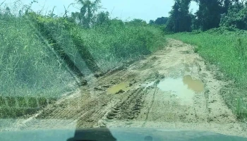 Pulau Kucing - Pekan