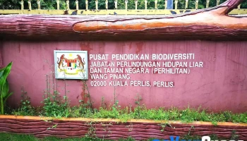 Pusat Pendidikan Biodiversiti Wang Pinang - 02000