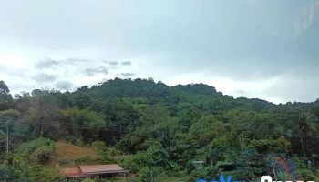 Sarawak Tourism Board - Level 4