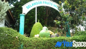 Selangor Fruit Valley (sfv) - Batang Berjuntai