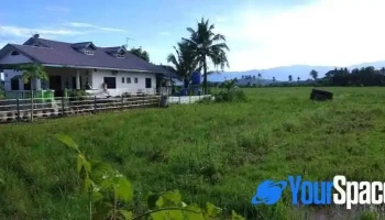Taun Gusi Village Homestay - Kota Belud