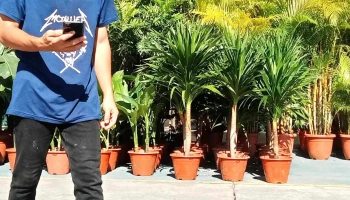The Spring Bintulu - Bintulu