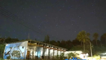 Tommy’s Place @ Tip of Borneo - Kota Kinabalu