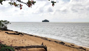 Walai Penyu Conservation Park, Libaran Island, Sandakan - Sandakan