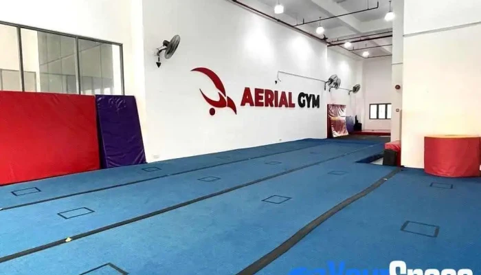 Aerial Gym - Subang Jaya