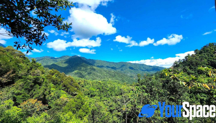 Aura Montoria -  Kawasan Kembara Berjalan Kaki - Kota Belud