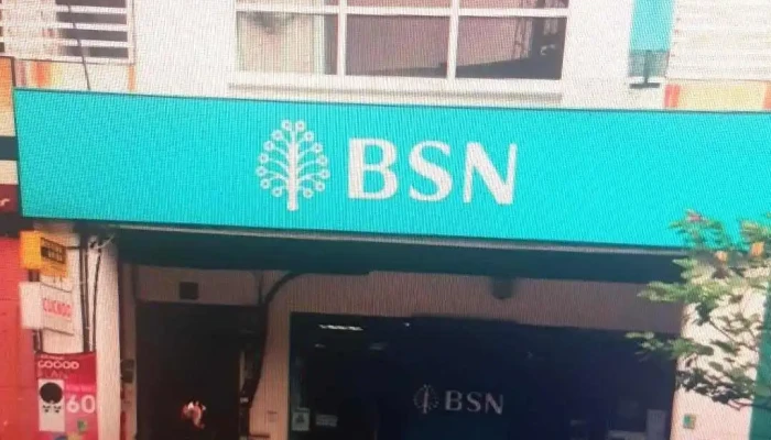 Bank Simpanan Nasional Simpang Rengam - Jln Besar