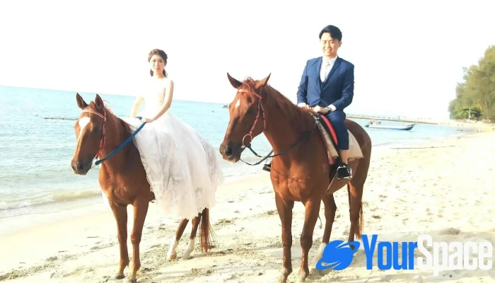 Beach Anisalim Horse Riding -  Perkhidmatan Penunggangan Kuda - Batu Ferringhi