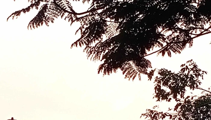 Bodhi Meditation Seremban Malaysia Pu Ti Shan Xiu Ma Lai Xi Ya Fu Rong Nombor - Seremban