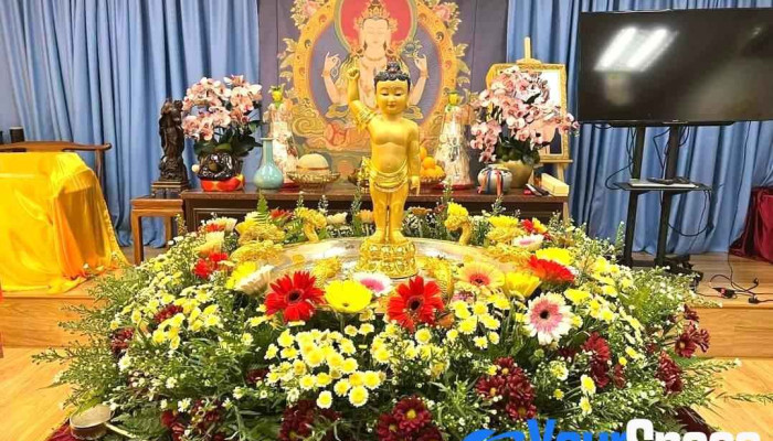 Bodhi Meditation Seremban Malaysia Pu Ti Shan Xiu Ma Lai Xi Ya Fu Rong Oleh Pemilik - Seremban