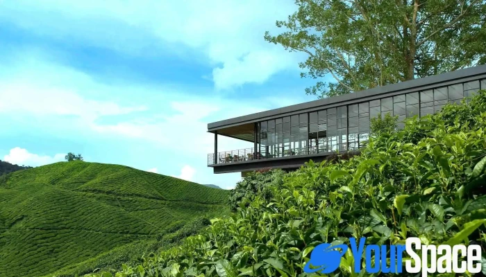 Boh Sungai Palas Tea Centre -  Oleh Pemilik - Brinchang