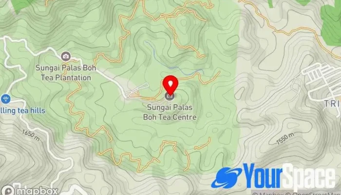 Boh Sungai Palas Tea Centre -  Peta - Brinchang