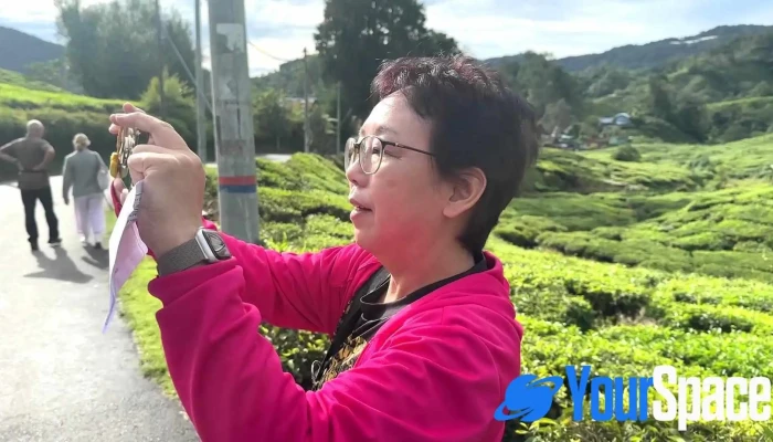 Boh Sungai Palas Tea Centre -  Video - Brinchang
