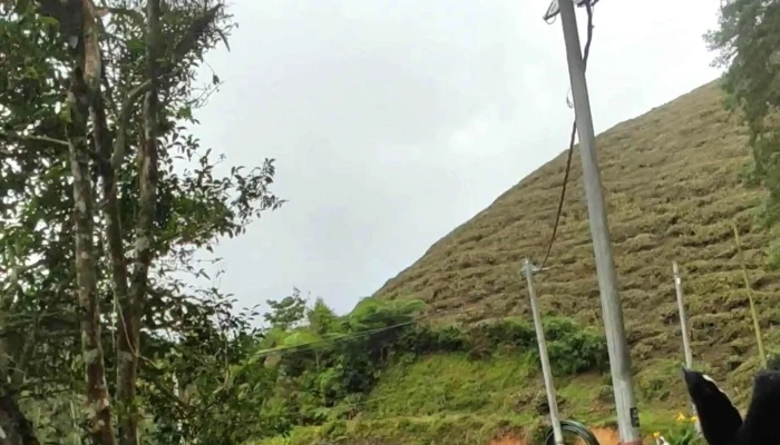 Boh Viewpoint -  Berdekatan Saya - Brinchang