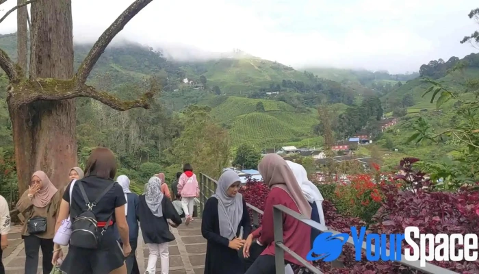 Boh Viewpoint -  Gunung - Brinchang