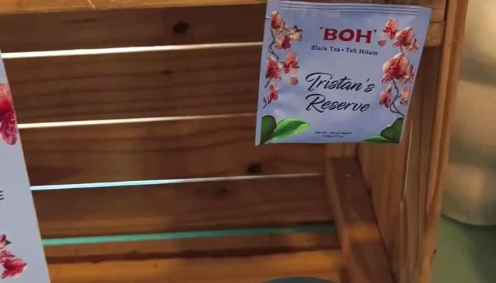 Boh Viewpoint -  Terkini - Brinchang