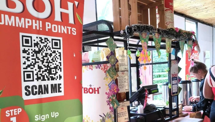 Boh Viewpoint -  Video - Brinchang