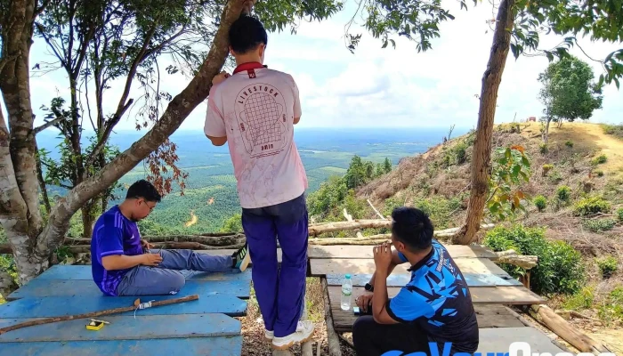 Bukit Penarikan -  Terkini - Bahau