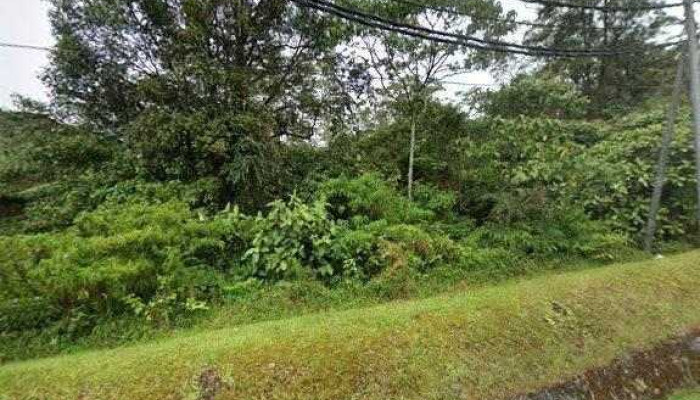 Cactus Point Brinchang Pahang Street View 360deg - Brinchang