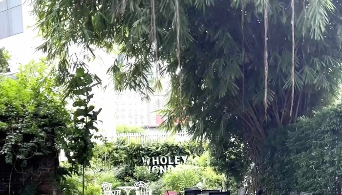 Damai Studio -  Kuala Lumpur - Kuala Lumpur