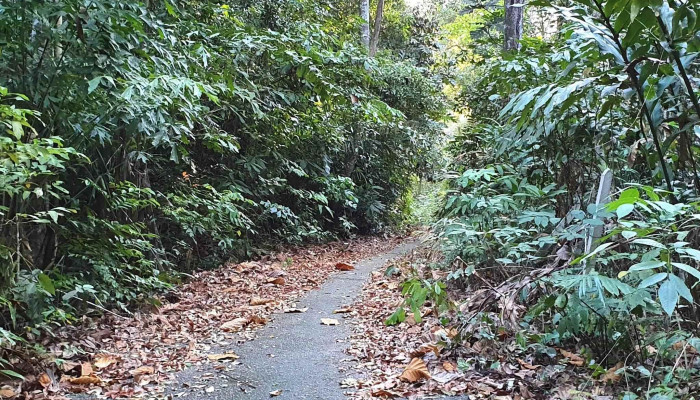 Darulaman Sanctuary -  Laman Web - Langkawi