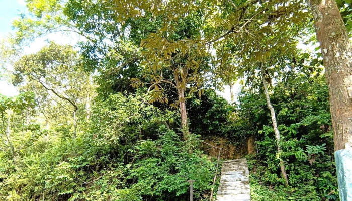 Dhamma Earth -    Kuala Lumpur Fa Yu   Ji Long Po Chuan Fa Sheng Tai Lin Laman Web - Semenyih