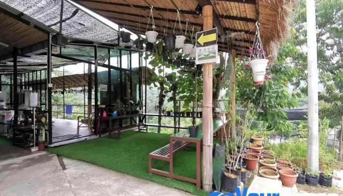 Dhamma Earth - Kuala Lumpur 法域 - 吉隆坡 (传法生态林) - Semenyih