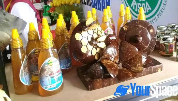 Dma Gombizau Honey Bee Kelulut Bee Ladang Madu - Kudat