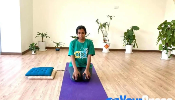 Hatha Vidya Yoga Centre Johor Bahru Malaysia - Johor