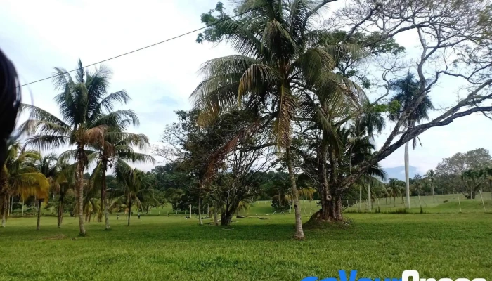 Hospital Bahagia Ulu Kinta (Hospital Tanjung Rambutan) - 31250 Tanjung Rambutan