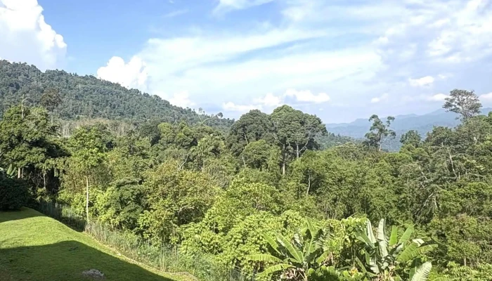 Institut Latihan Perumahan Dan Kerajaan Tempatani Kpkt Foto - Bentong