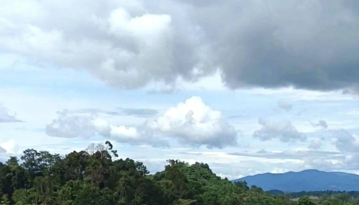 Institut Pertanian Kuala Lipis -  Telefon - Kuala Lipis