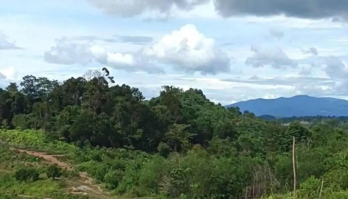 Institut Pertanian Kuala Lipis -  Video - Kuala Lipis