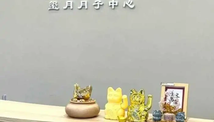 Joyfull Confinement Centre 玺月月子中心 - Jalan Bunga Raya