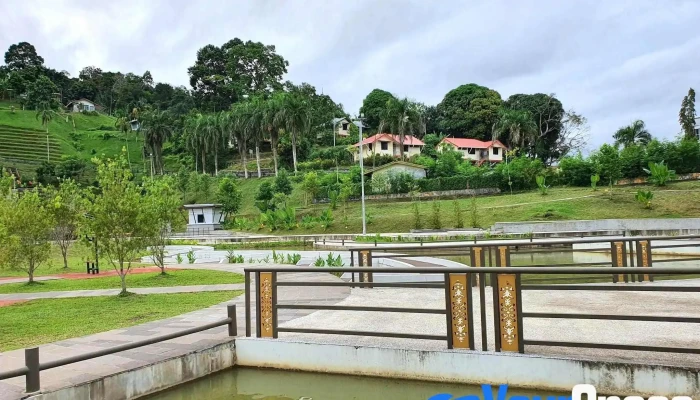 Kapit Lily Pond - 96800 Kapit
