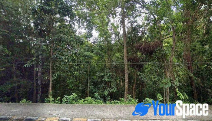 Kedai Tenaga Kuala Lipis - 27200 Kuala Lipis