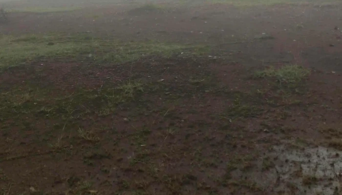 Kompleks Sukan Ranau -  Video - Ranau
