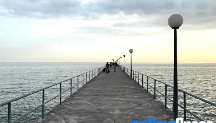 Lover's Bridge Tanjung Sepat - Tanjong Sepat