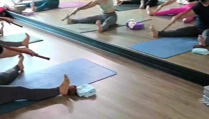 Mind Soul Yogashala Fitness Studio Yoga Studio Video - Ipoh